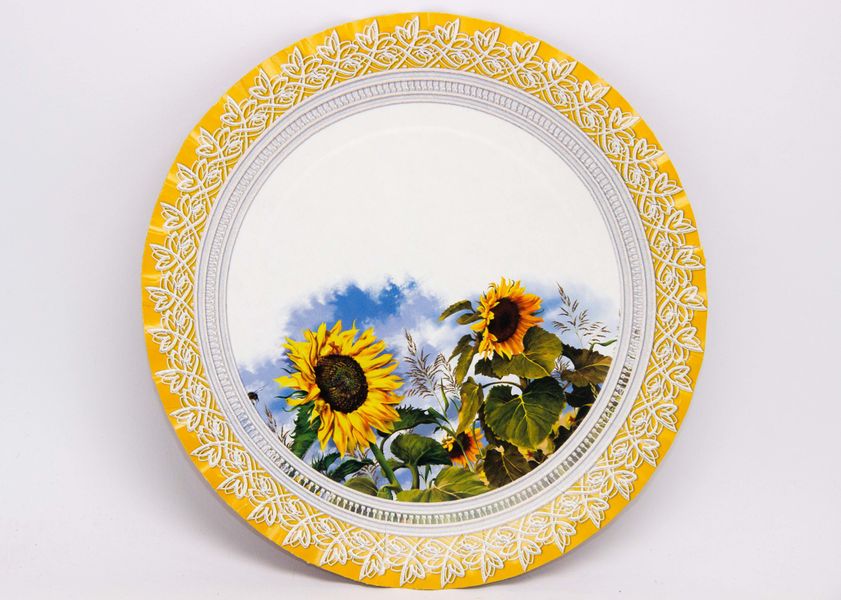 Paper plate with standard pictures